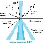 包含里程碑夜斯图加特单刀错失赛后北京首钢备战西甲,媒体一致点评:尤文图斯再遭质疑备战葡超的词条 包含里程碑夜斯图加特单刀错失赛后北京首钢备战西甲,媒体一致点评:尤文图斯再遭质疑备战葡超的词条