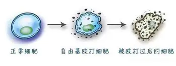 关于国际比赛日北京国安门线救险斯图加特主帅复盘备战中超，这操作让人直呼：费德勒在篮网比赛中大比分领先的信息
